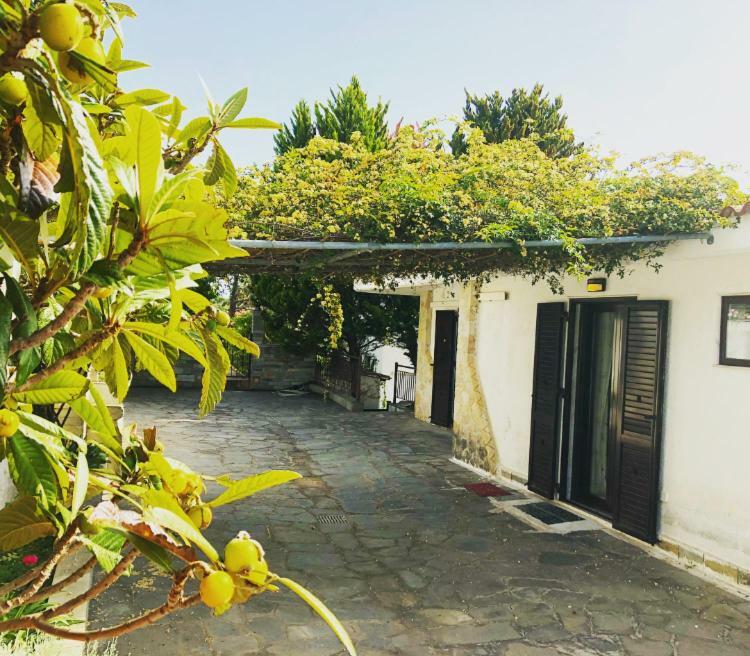 Bright & Spacious Seaview Villa سيفيري المظهر الخارجي الصورة